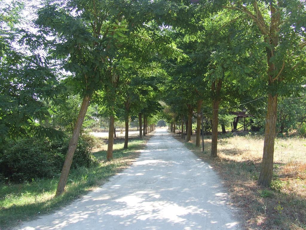 Farm stay Fattoria Il Noce Manduria