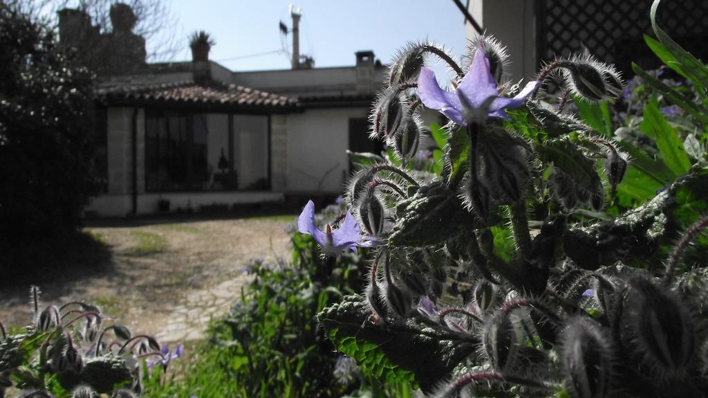 Fattoria Il Noce Manduria